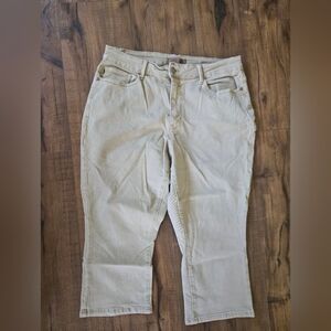 Judy Blue Cream Straight Leg Women's Jeans